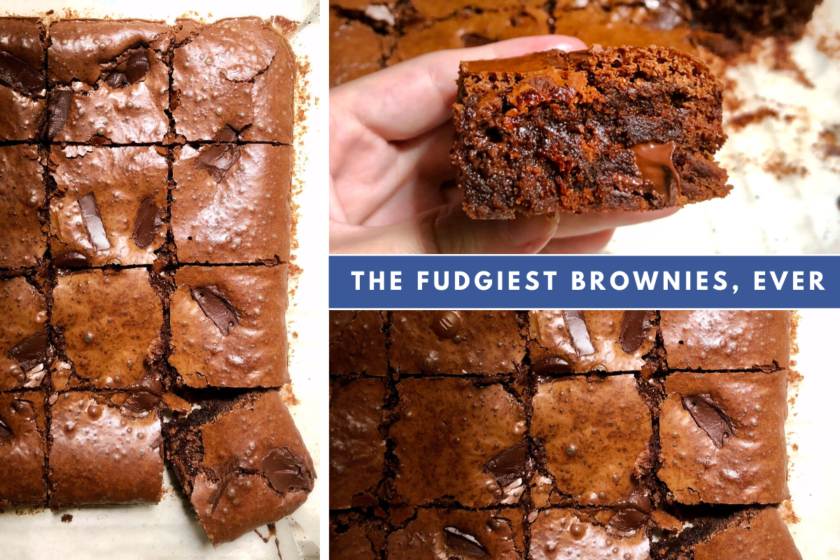 the fudgiest brownies