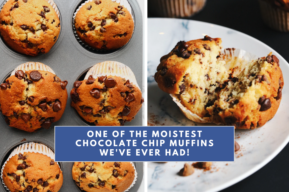 amazing chocolate chip muffin recipe 