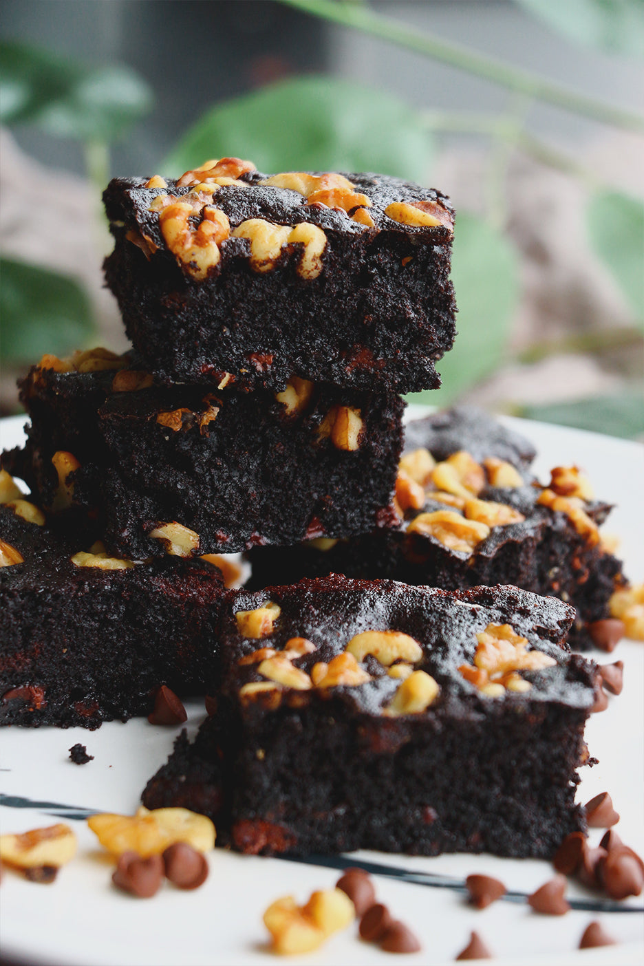 Chip, Choc, Cocoa Pop! | Dark Cocoa Walnut Chocolate Chip Brownies (~16 slices)