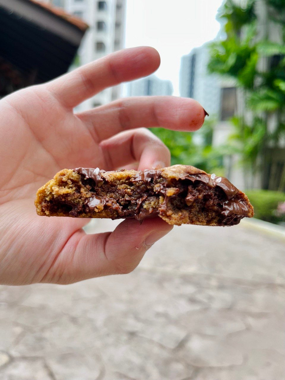 The Ultimate Cookie Course