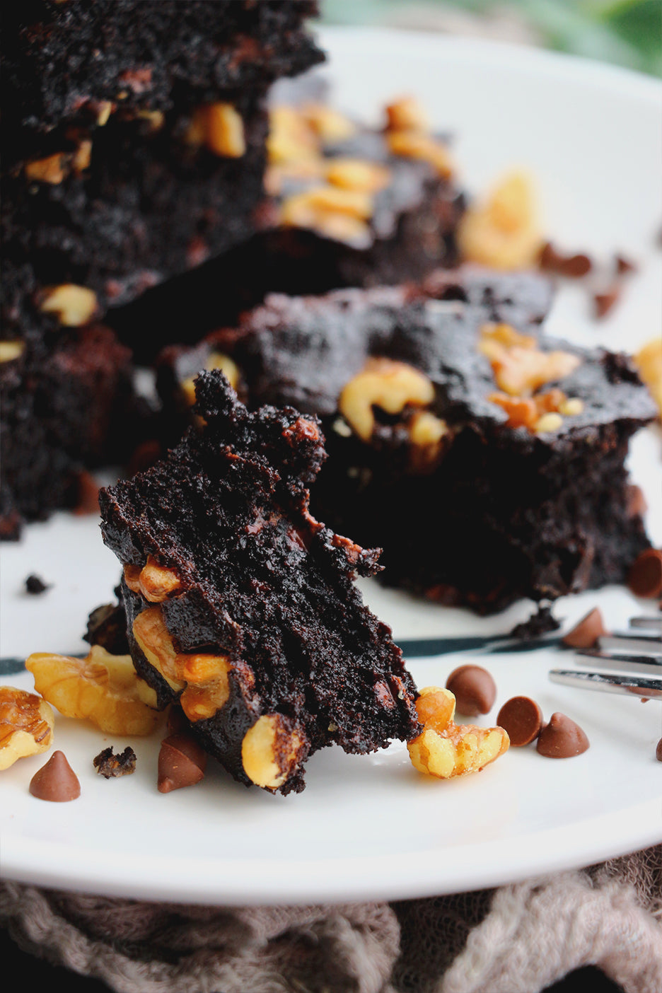 Chip, Choc, Cocoa Pop! | Dark Cocoa Walnut Chocolate Chip Brownies (~16 slices)